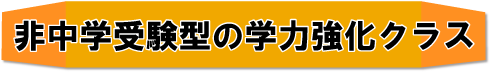 非中学受験型 の学力強化クラス