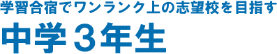 中学3年生